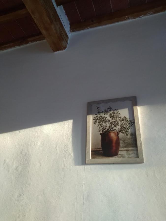 Lotte'S Guesthouse Ливорно Экстерьер фото